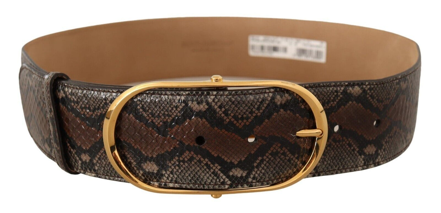 Dolce & Gabbana Elegante Cinturón de Piel Marrón con Hebilla Dorada