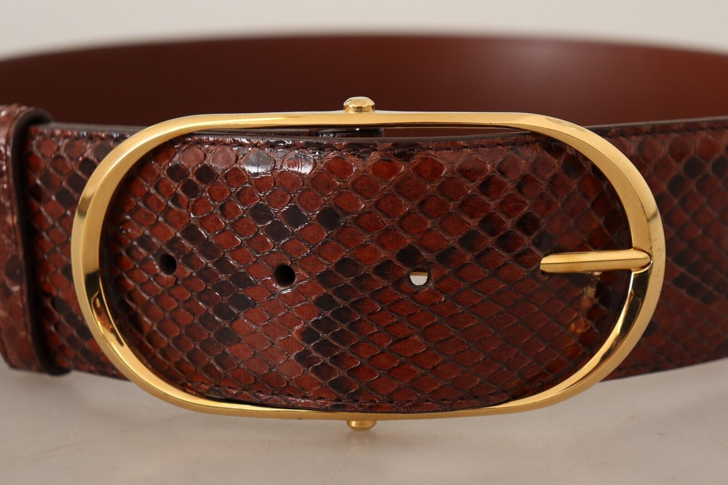 Dolce & Gabbana Elegante Cinturón De Piel De Serpiente De Pitón
