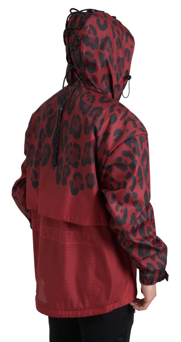 Dolce & Gabbana Chaqueta con capucha con estampado de leopardo rojo radiante