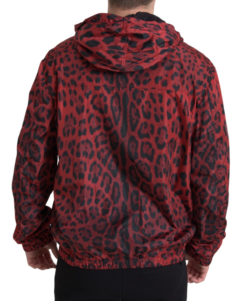 Dolce & Gabbana Cazadora bomber con capucha de leopardo rojo