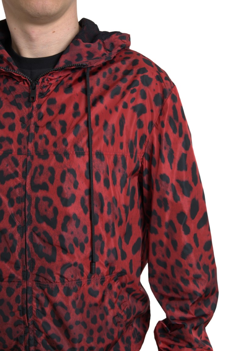 Dolce & Gabbana Cazadora bomber con capucha de leopardo rojo