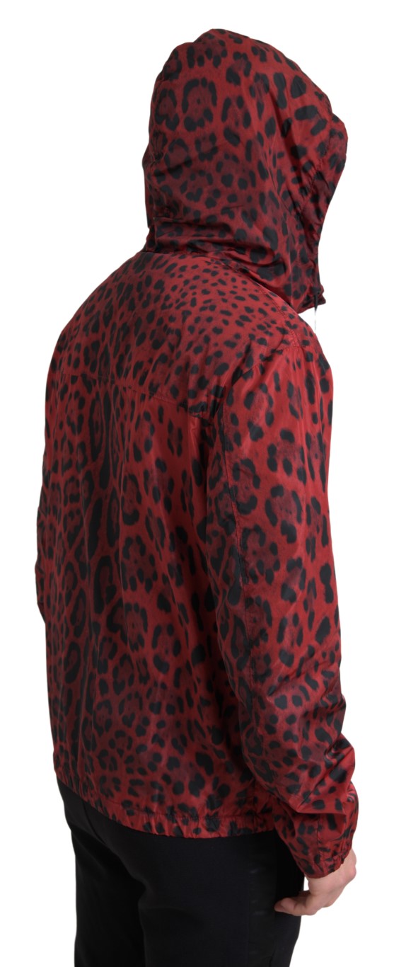 Dolce & Gabbana Cazadora bomber con capucha de leopardo rojo