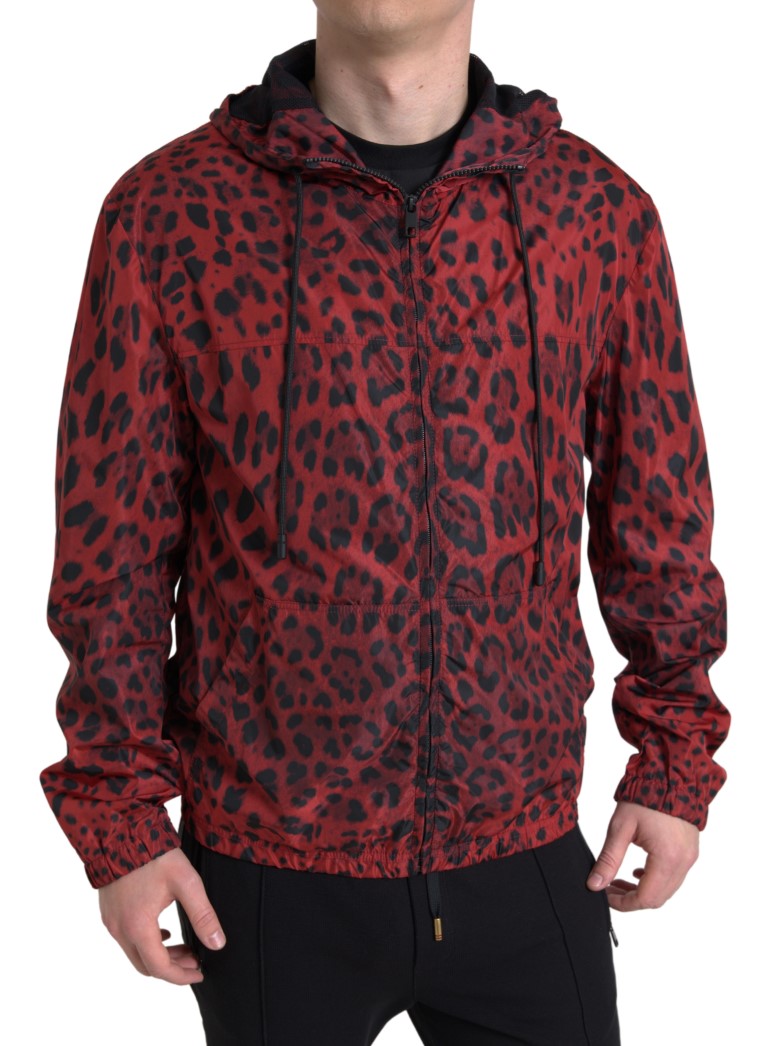 Dolce & Gabbana Cazadora bomber con capucha de leopardo rojo