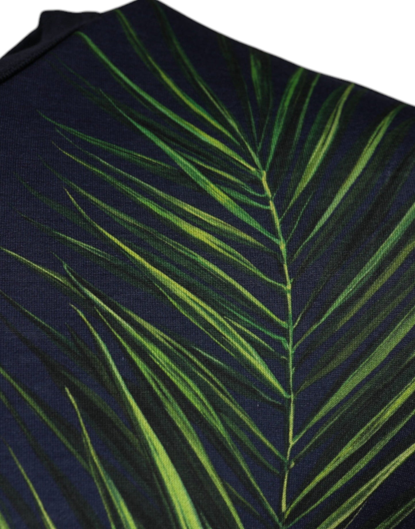 Camiseta de manga corta con cuello redondo y estampado de árbol azul de Dolce & Gabbana