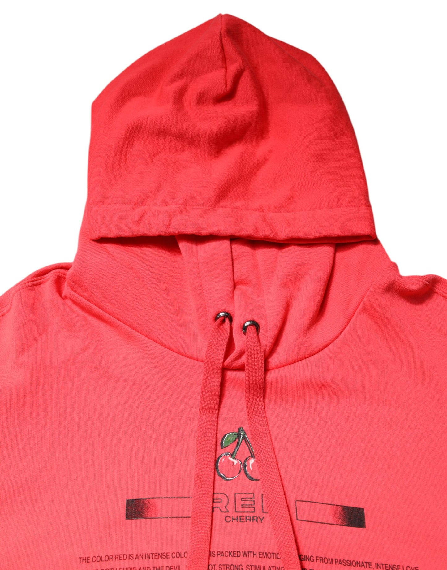 Sudadera con capucha y estampado del logotipo rojo de Dolce & Gabbana