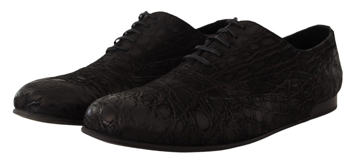 Dolce & Gabbana Elegant Exotic Leather Oxford Shoes - Sandy Store ByNet