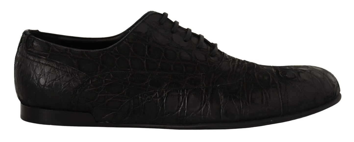 Dolce & Gabbana Elegant Exotic Leather Oxford Shoes - Sandy Store ByNet