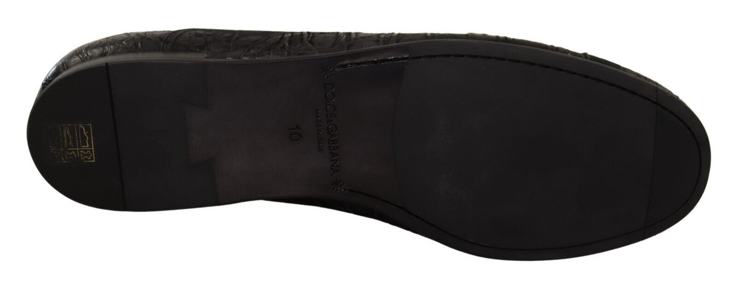 Dolce & Gabbana Elegant Exotic Leather Oxford Shoes - Sandy Store ByNet