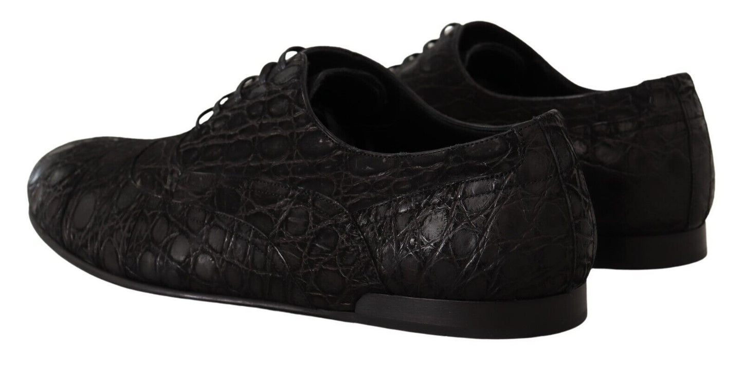 Dolce & Gabbana Elegant Exotic Leather Oxford Shoes - Sandy Store ByNet