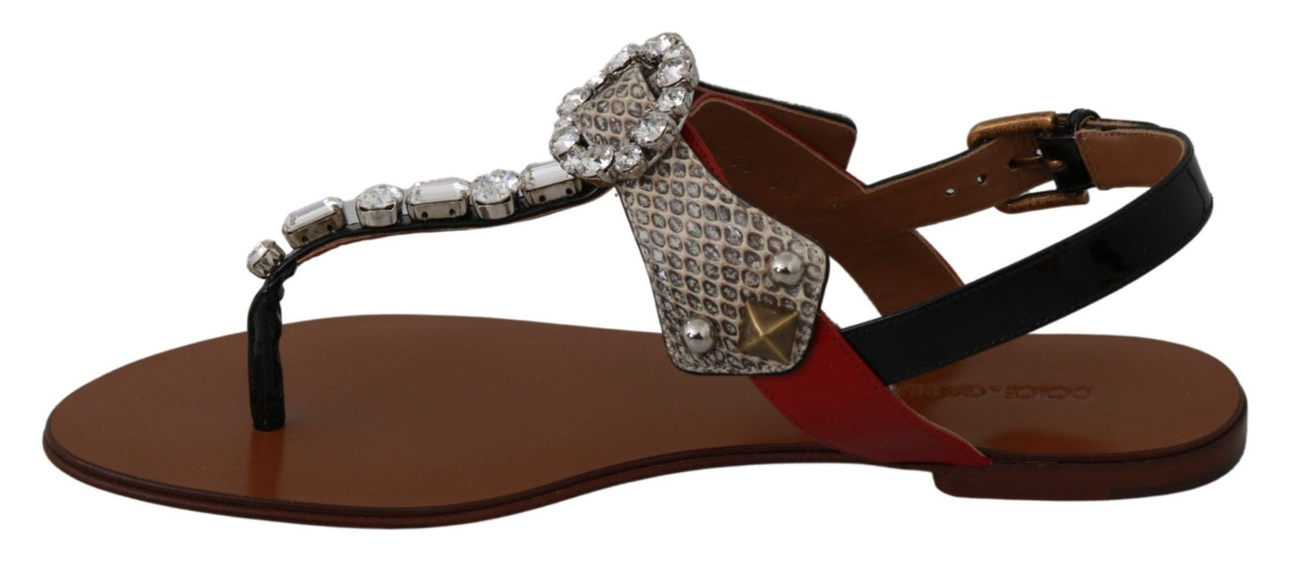 Dolce & Gabbana Elegant Strappy Sandals with Exotic Charm - Sandy Store ByNet