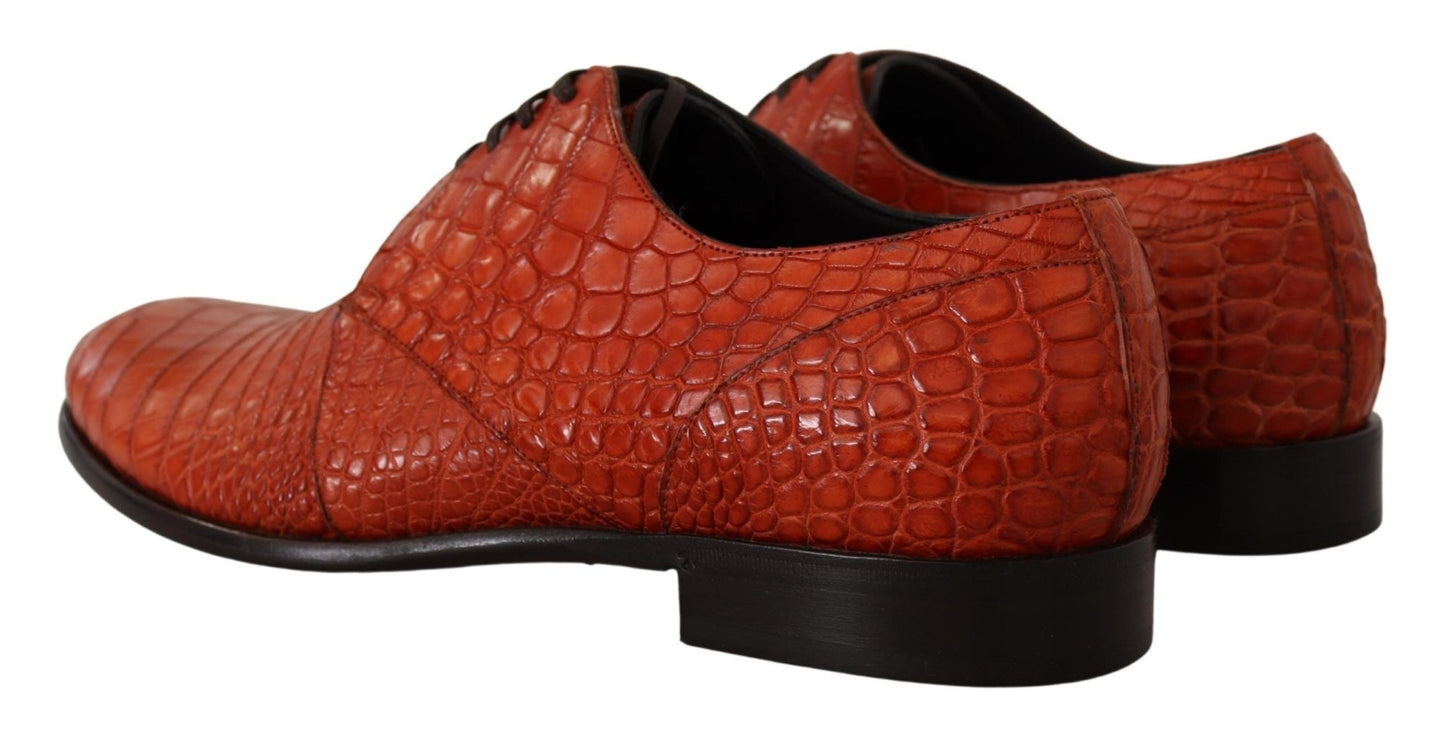 Dolce & Gabbana Exotic Orange Croc Leather Laceup Dress Shoes - Sandy Store ByNet
