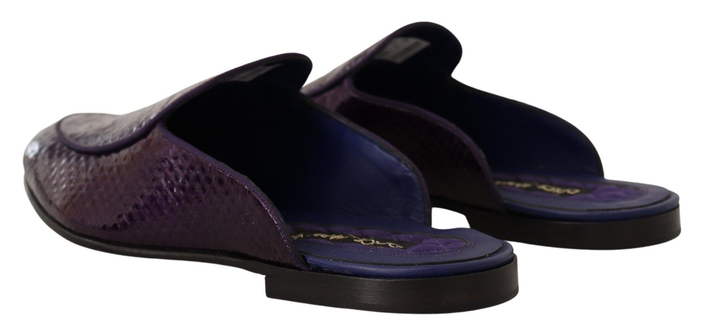 Dolce & Gabbana Purple Exotic Python Leather Slides - Sandy Store ByNet