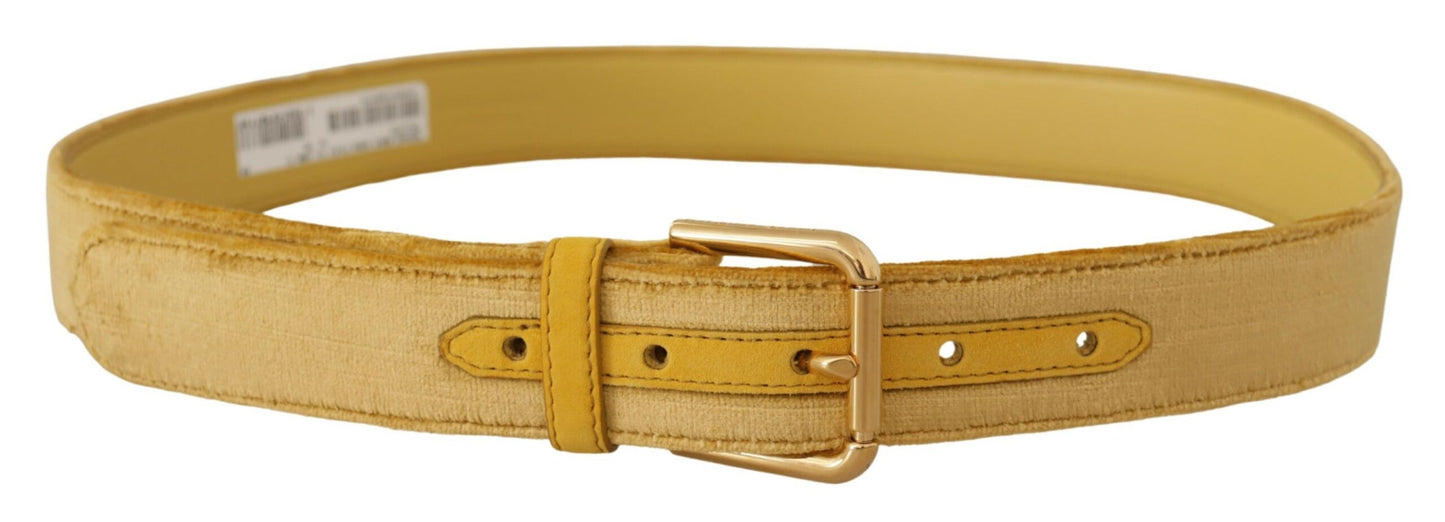 Dolce &amp; Gabbana Elegant Velvet Designer Gold-Buckled Belt