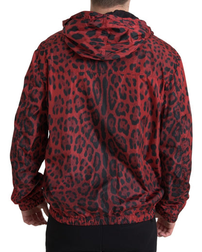 Dolce &amp; Gabbana Cazadora bomber con capucha de leopardo rojo