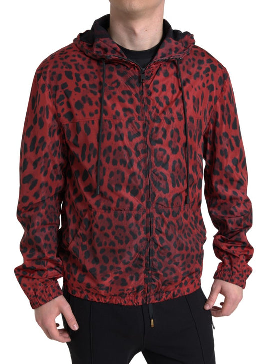 Dolce &amp; Gabbana Cazadora bomber con capucha de leopardo rojo