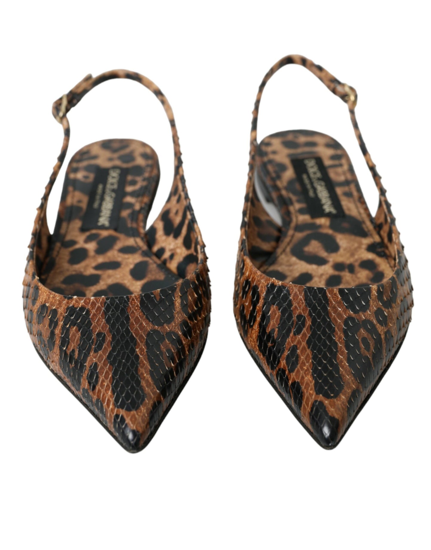 Dolce &amp; Gabbana Zapatos destalonados de piel exótica de leopardo marrón
