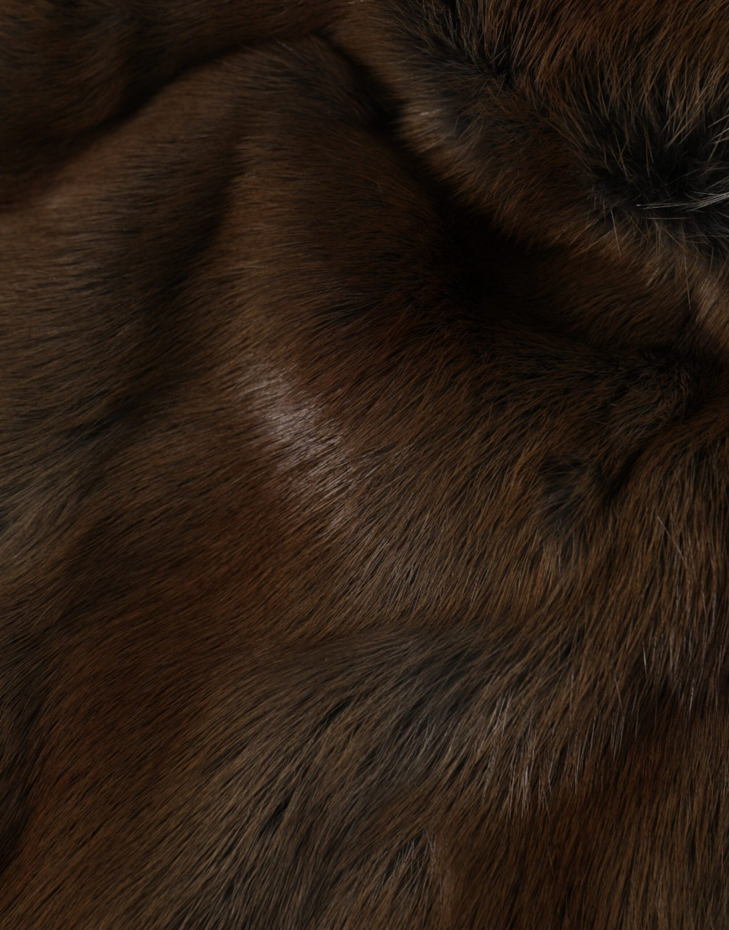 Gorro De Cachemira Mujer Dolce &amp; Gabbana Brown Weasel Fur