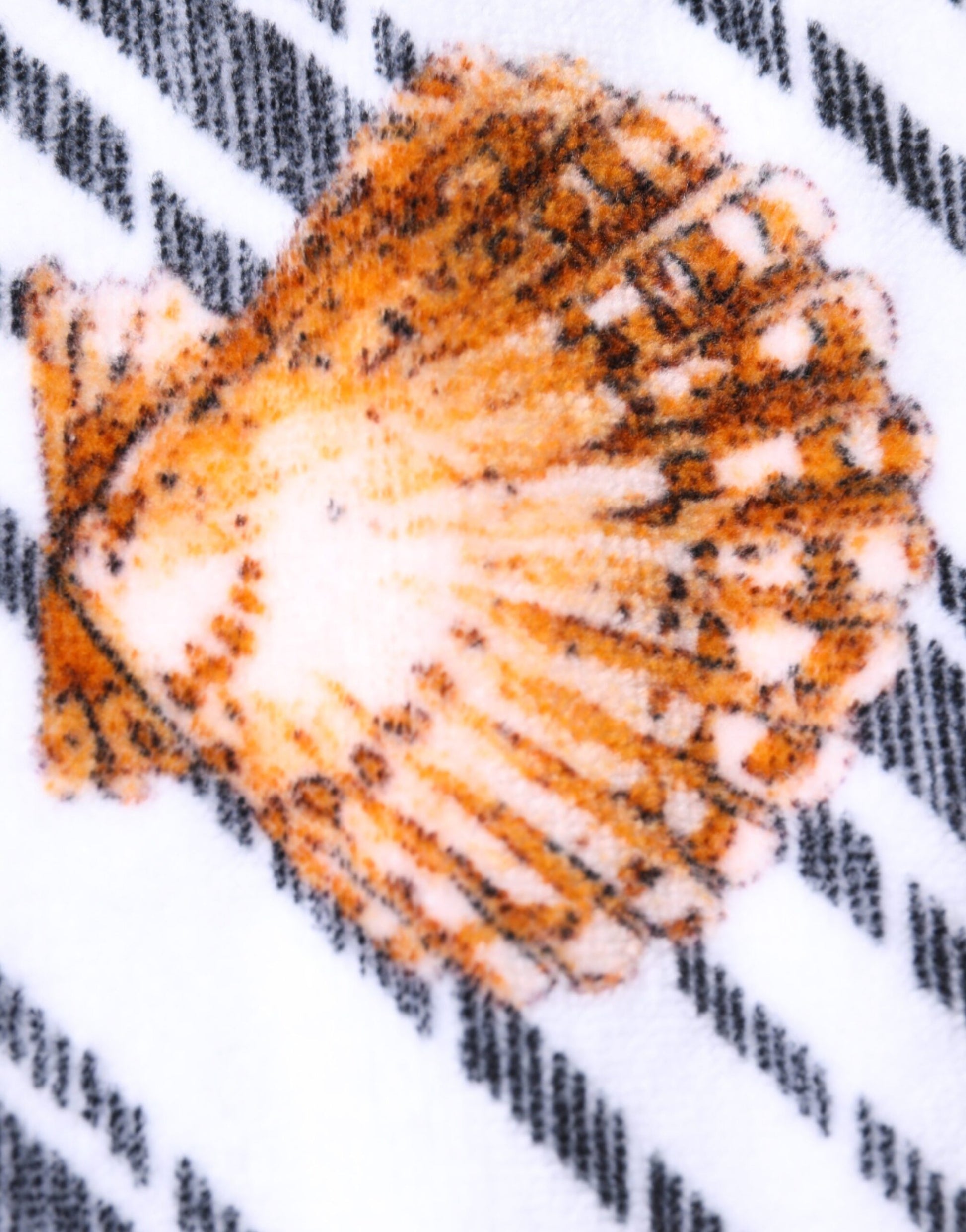 Dolce & Gabbana Multicolor Stripes Seashells Beach Towel – par Dolce & Gabbana | Disponible sur Sandy Store ByNet