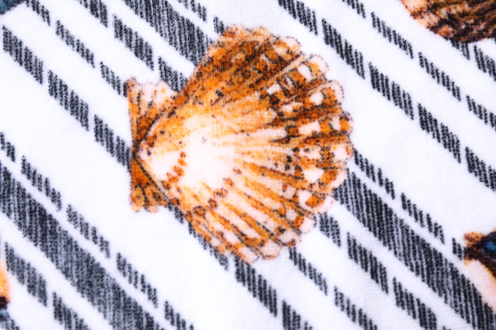 Dolce & Gabbana Multicolor Stripes Seashells Beach Towel – par Dolce & Gabbana | Disponible sur Sandy Store ByNet