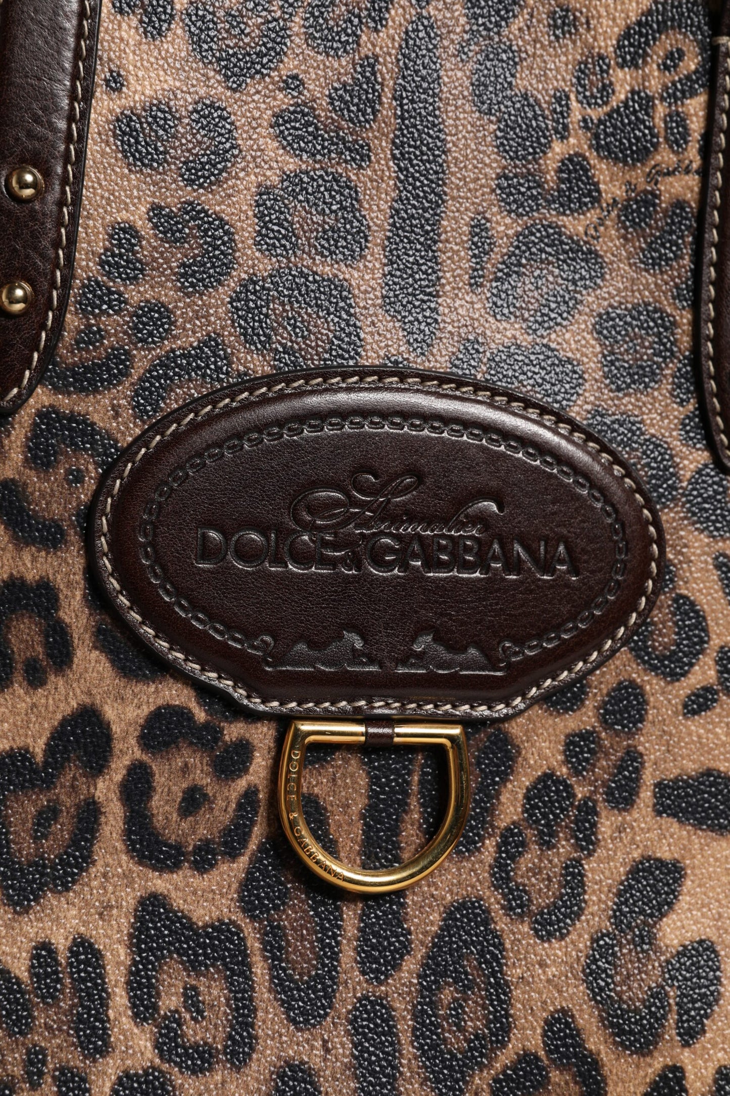 Bolso tote con correa de hombro de piel de leopardo marrón de Dolce &amp; Gabbana