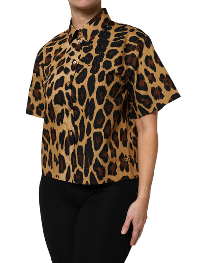 Dolce &amp; Gabbana Brown Leopard Short Sleeve Collared Polo Top