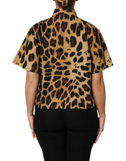 Dolce &amp; Gabbana Brown Leopard Short Sleeve Collared Polo Top