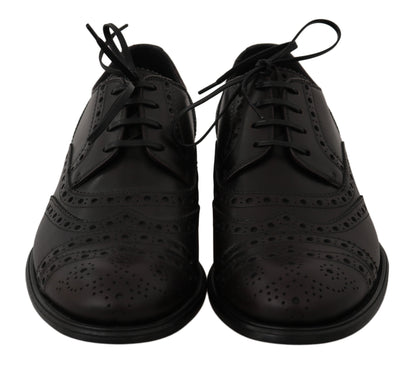 Dolce &amp; Gabbana Elegantes zapatos de vestir Derby con punta de ala en color burdeos