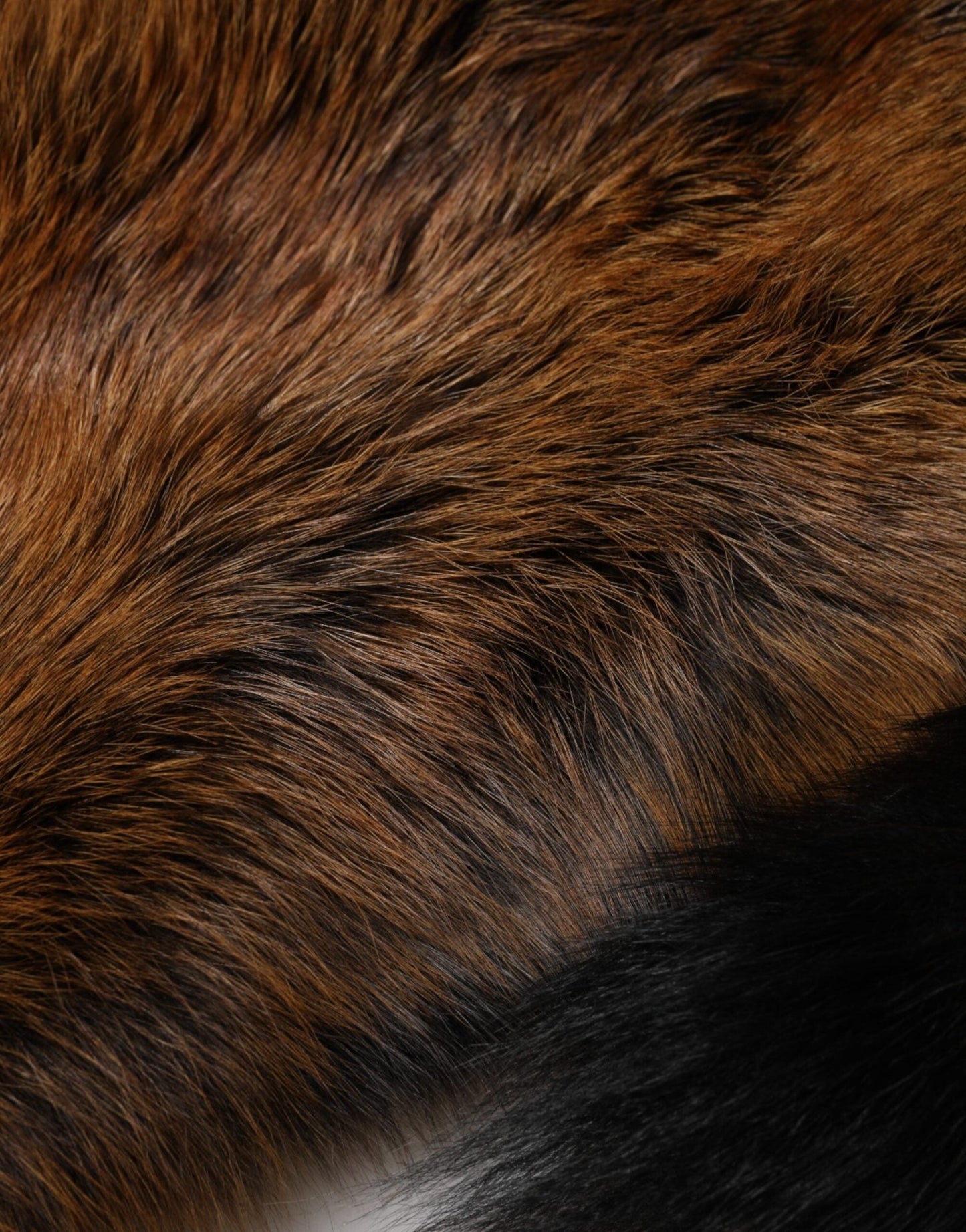 Dolce & Gabbana Brown Red Fox Fur Neck Cashmere Warmer Scarf – par Dolce & Gabbana | Disponible sur Sandy Store ByNet