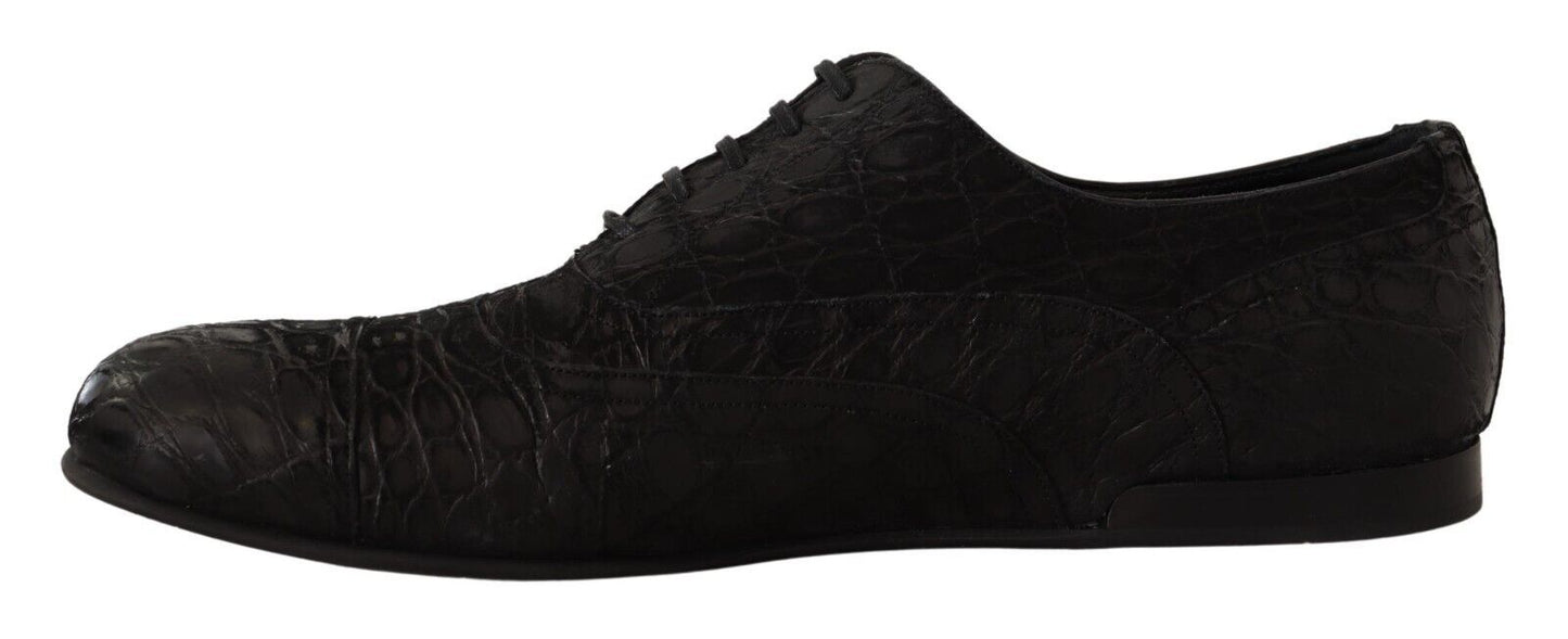 Dolce & Gabbana Elegant Exotic Leather Oxford Shoes - Sandy Store ByNet