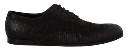 Dolce & Gabbana Elegant Exotic Leather Oxford Shoes - Sandy Store ByNet