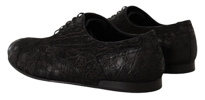 Dolce & Gabbana Elegant Exotic Leather Oxford Shoes - Sandy Store ByNet
