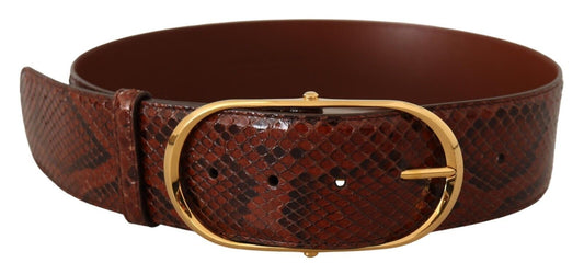 Dolce & Gabbana Elegant Python Snake Skin Leather Belt - Sandy Store ByNet