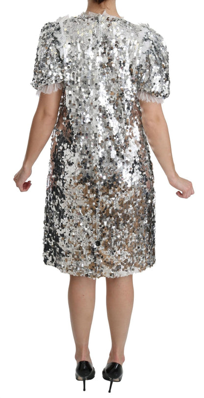 Dolce & Gabbana Elegant Silver A - Line Dress with Crystal Accents - Sandy Store ByNet