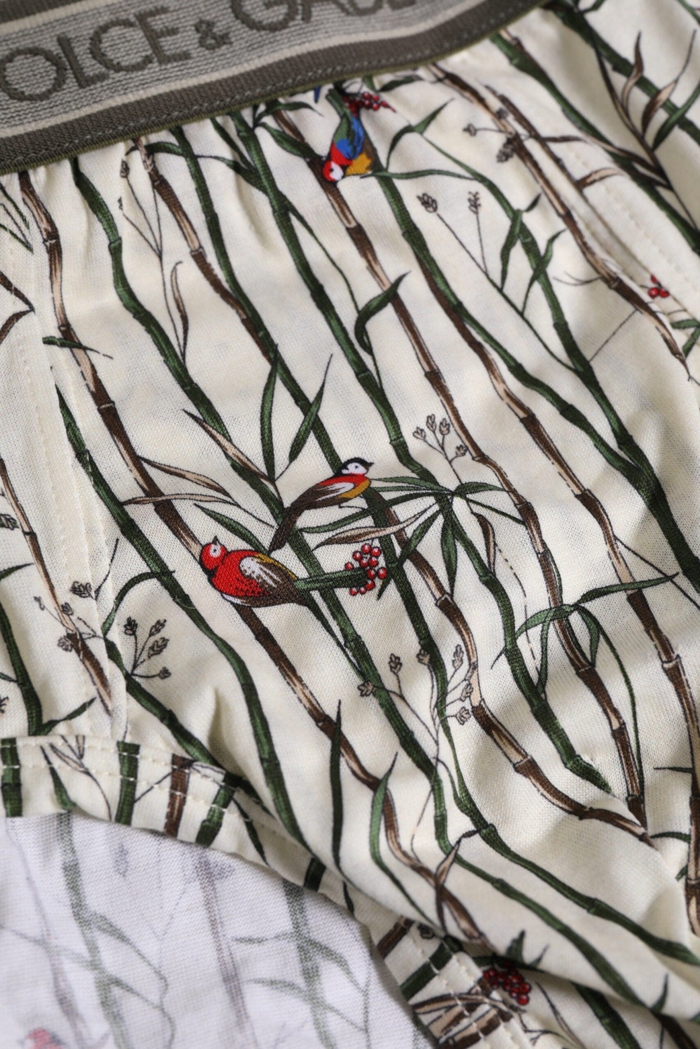 Dolce & Gabbana Ivory Bird Print Cotton Regular Brief Underwear – IT6| L par Dolce & Gabbana | Disponible sur Sandy Store ByNet