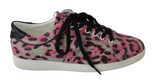 Dolce & Gabbana Multicolor Crocodile Leather Sneakers - Sandy Store ByNet