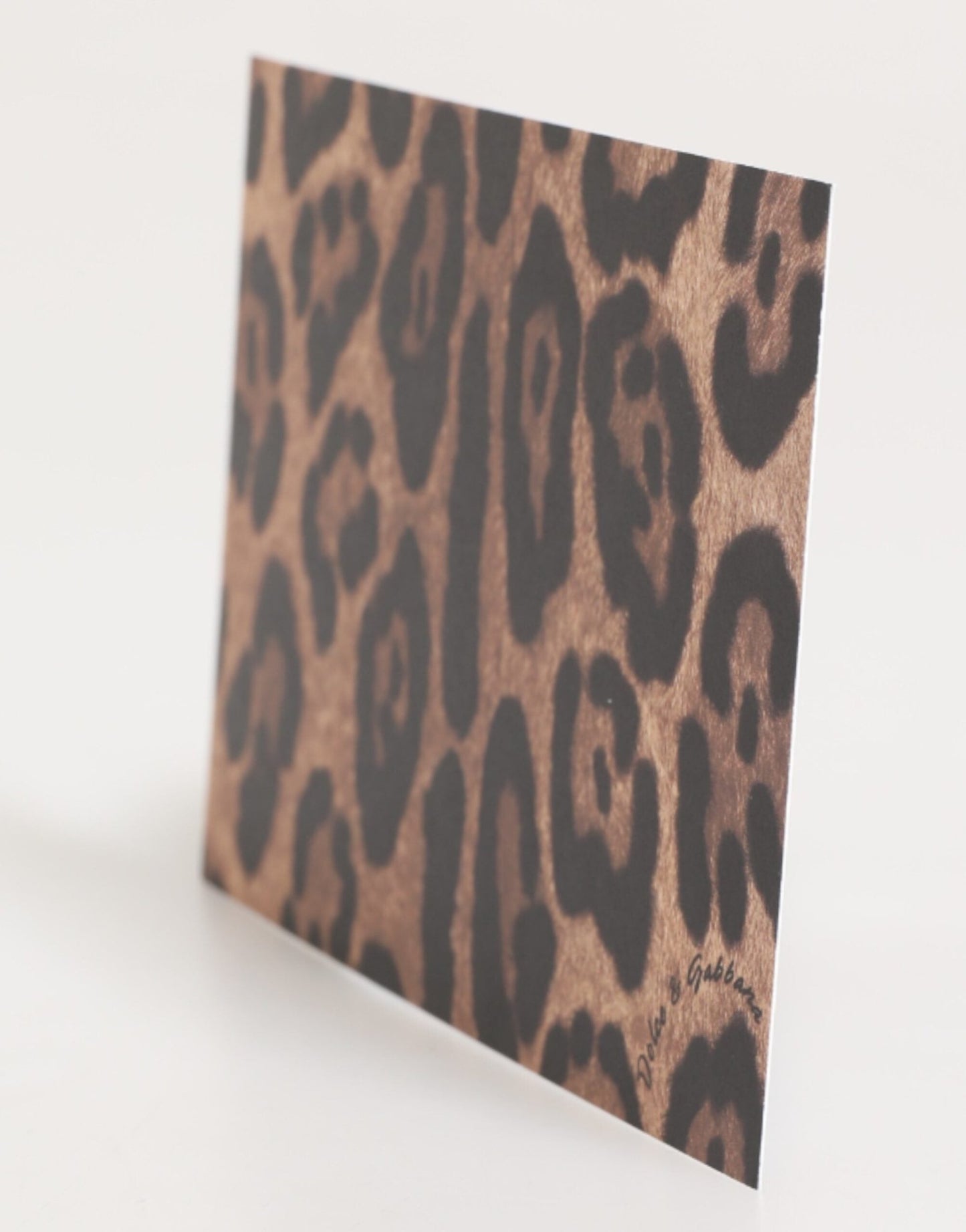 Dolce & Gabbana Multicolor Leopard Print Envelope Paper Post Card Holder – par Dolce & Gabbana | Disponible sur Sandy Store ByNet