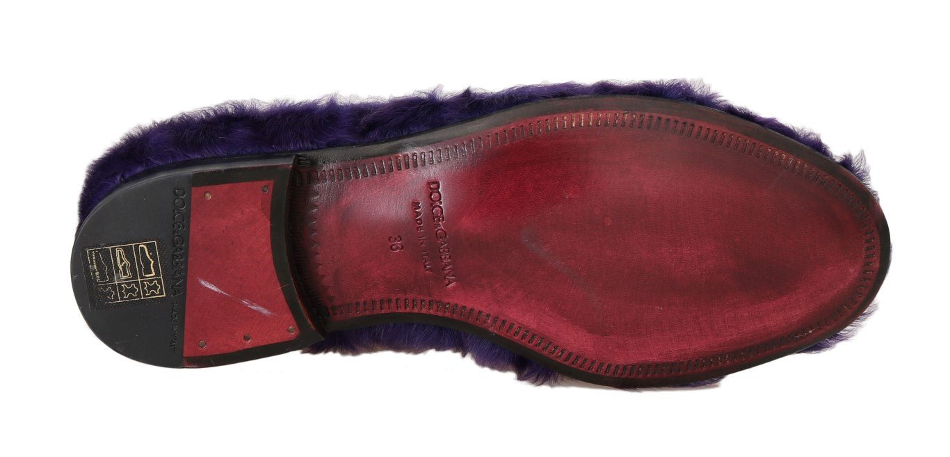 Dolce & Gabbana Plush Purple Sheep Fur Loafers - Sandy Store ByNet